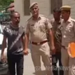 Pali Crime News